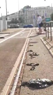 Аномальная жара в Лейпциге деформировала трамвайные пути и вызвала транспортный коллапс