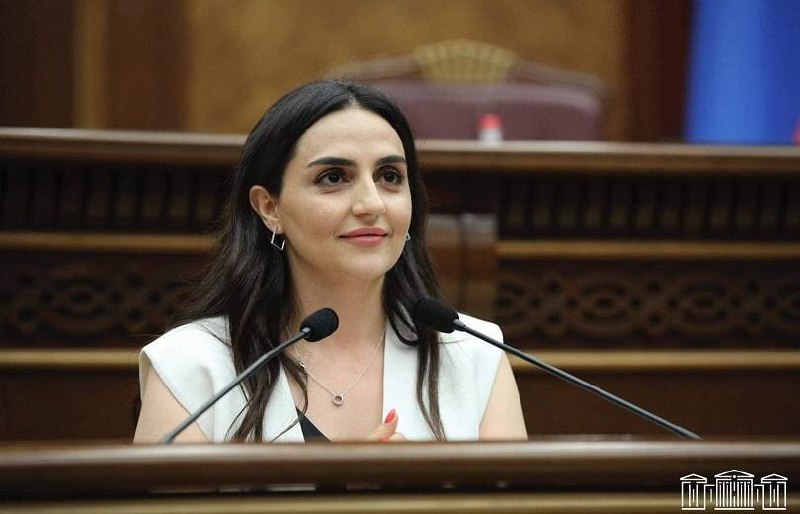 Парламент Армении утвердил поправки к Избирательному кодексу: как это отразится на выборах в Сюнике?
