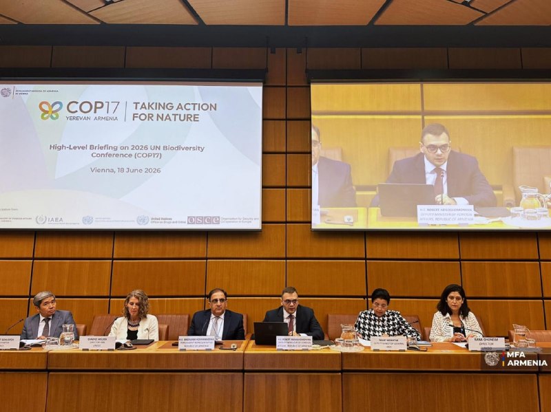 В ООН представили подготовку Армении к COP17 по биоразнообразию в Ереване: что это значит для Сюника