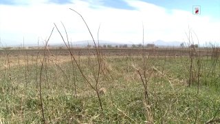 Бывший руководитель кадастра Вагаршапата обвиняется в хищении 52 участков на 230 млн драмов