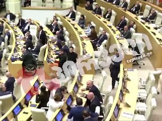 Драка в парламенте Грузии после отчета премьера: что известно в Капане