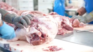 Мясоперерабатывающая компания «Атенк» в Капане расширяет производство и экспорт