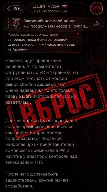 Заявления «ДШРГ Русич» о давлении на армянскую диаспору в контексте выборов в Сюнике, Капан