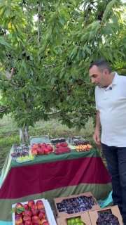 Первая партия армянских фруктов отправлена в ОАЭ из Капана
