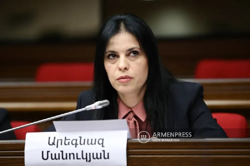Члена правления «Мать Армения» Арегназ Манукян арестовали на два месяца